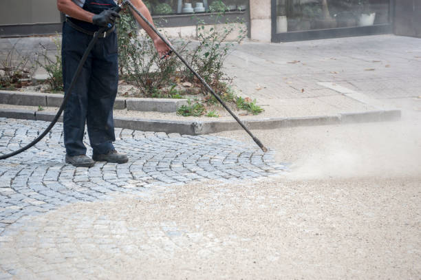 Best House Exterior Washing  in Corrigan, TX