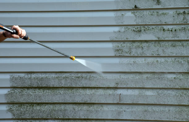 Best Solar Panel Cleaning  in Corrigan, TX