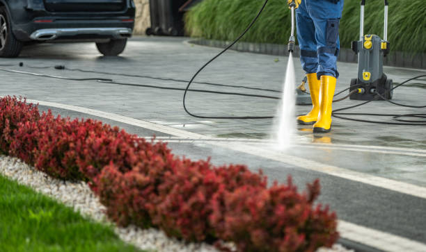 Best Sidewalk and Walkway Cleaning  in Corrigan, TX